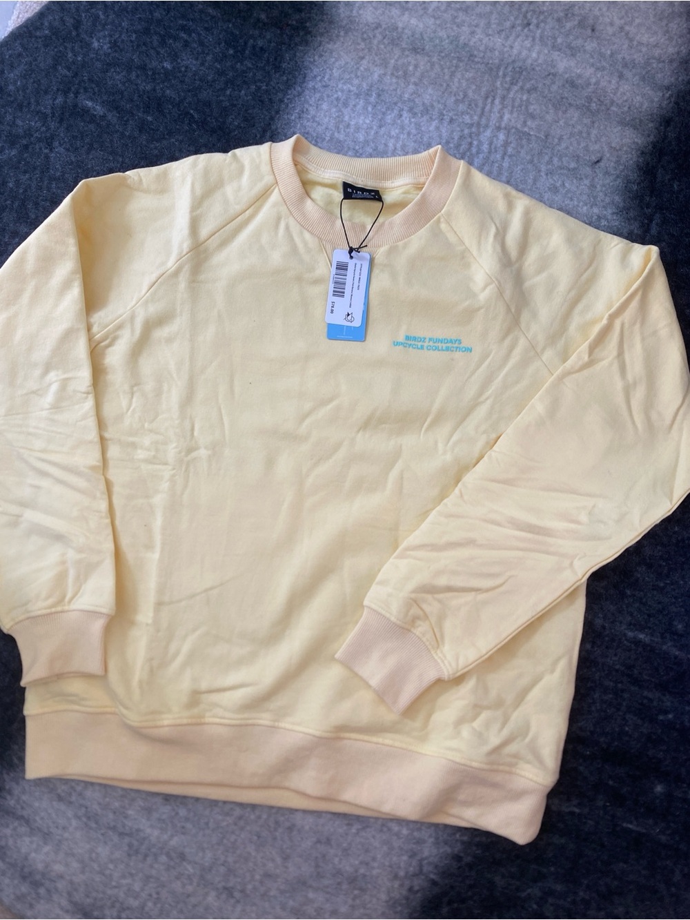 BIRDZ Pale Yellow Crewneck Sweatshirt with Minimal Chest Logo Women's L NWT